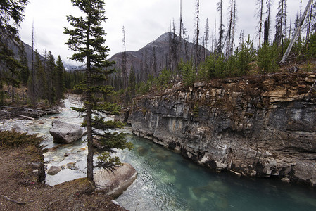 加拿大Kootenay公园MarbleCanyon的河流和岩图片