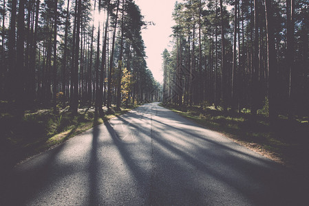 清晨的太阳横扫全国秋天的道路图片