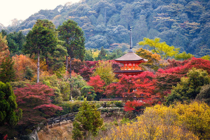 秋季的清水节日本红城堡的图片