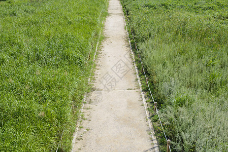 银色草地上的笔直路径图片