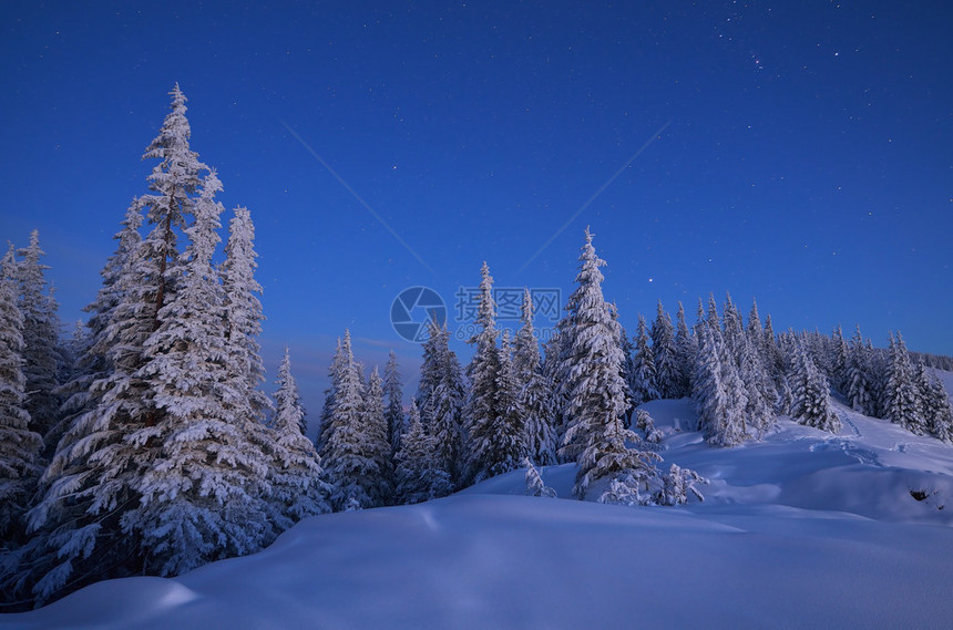 黄昏的冬季风景图片