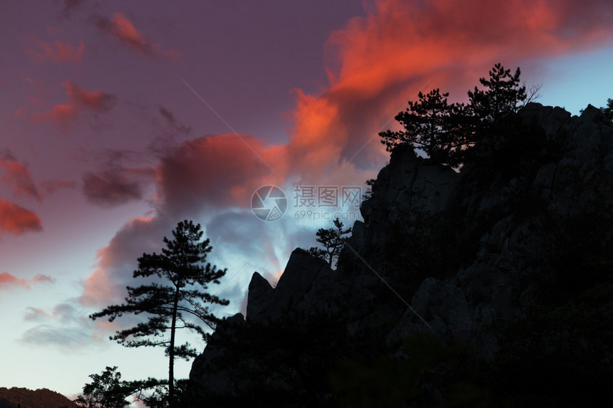 山上景色与黑色松树皮纳斯尼古拉硅影以惊人的日图片