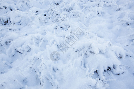 圣诞背景有雪背景图片