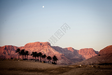 约旦河西岸的以色列石头沙漠图片