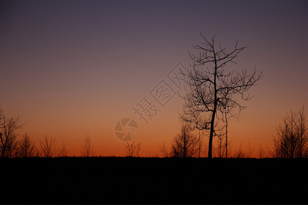 日落冬天俄罗斯莫斯科图片