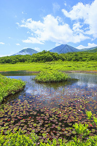 沼泽水柱日本青森Tashir图片