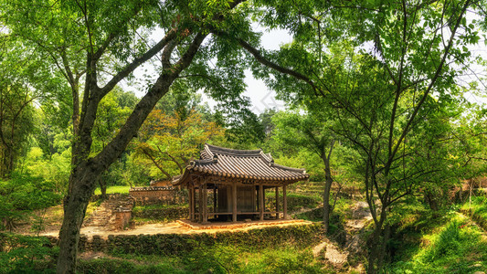 韩国传统塔和寺庙在南朝背景图片