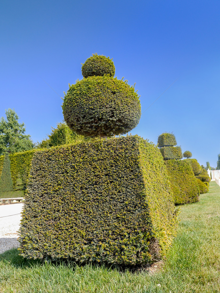 法国凡尔赛花园的长图片