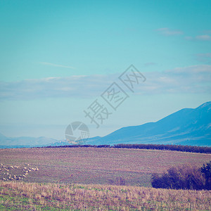 意大利羊牧草上的雾Insta图片