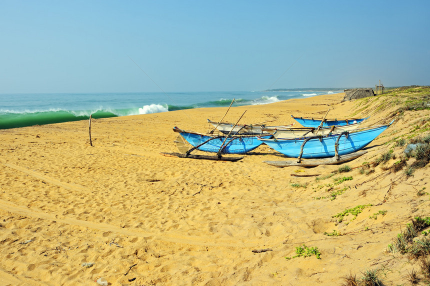 热带地区的斯里兰卡海岸图片