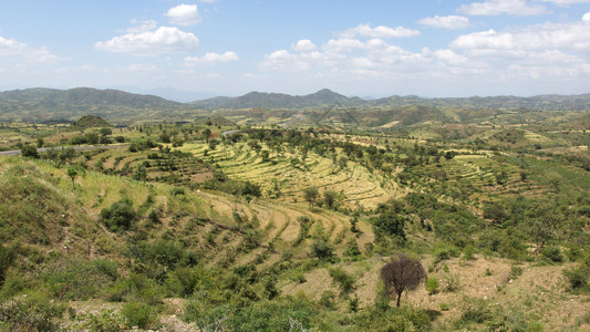 康索人传统梯田埃塞俄比亚非洲背景图片