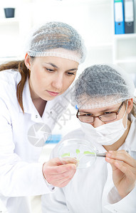 在实验室科学实验中使用工具的女科学家图片
