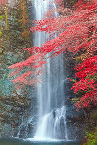 秋季瀑布图片