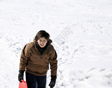 冬天小男孩在雪地上滑着雪橇行走图片