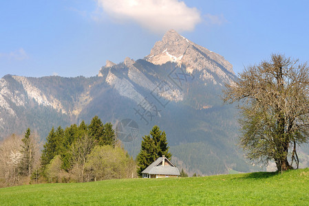 山前绿地景观中的房子图片