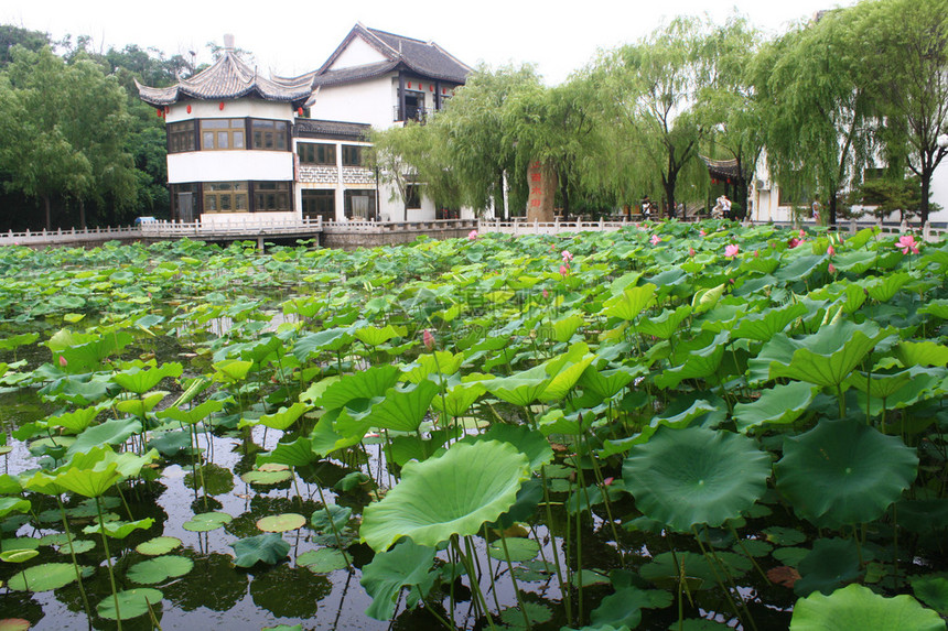 花园图片