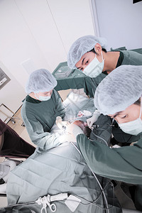 兽医生在手术室进行腹腔镜手术选图片