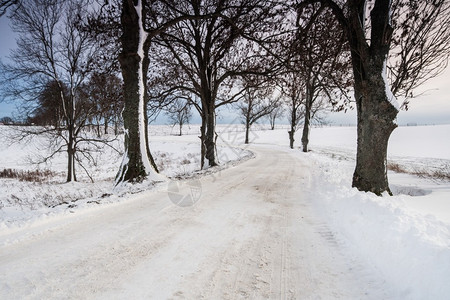 雪覆盖的乡村柏油路图片