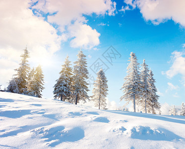 蓝色天空的冬季风景图片