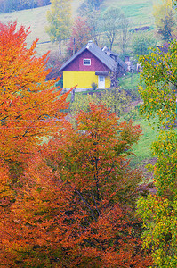 秋天风景山丘上的木屋山村喀尔巴阡山脉图片