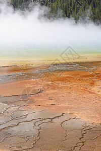 怀俄明黄岩公园MidwayGeyser流域大原始泉的蒸图片
