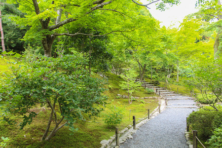 位于日本京都竹道附近的岚山寺图片