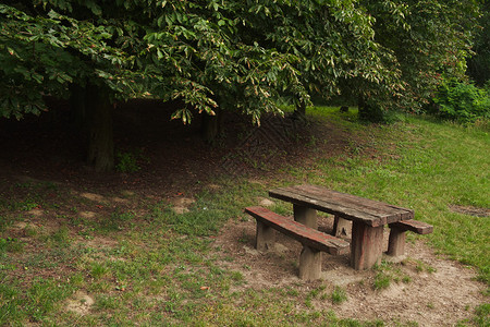 公园里的木桌和长凳图片
