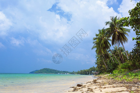 热带海滩泰国苏梅岛图片