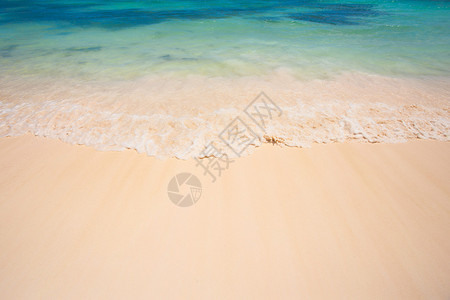 复古风格的热带海滩背景图片