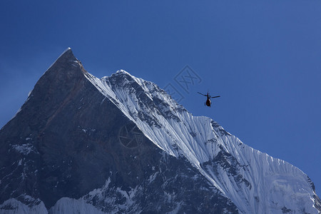 在Machhapuchchhre山上救援直升机图片