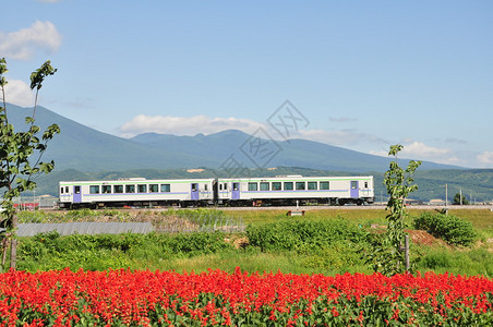 铁路上的火车和山前的鲜花图片