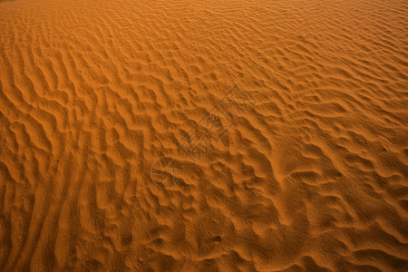 沙漠子的背景纹理在晚上图片