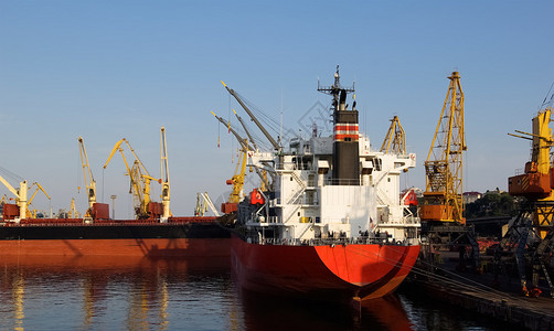 海港码头的货轮海上货物起重机无云阳图片