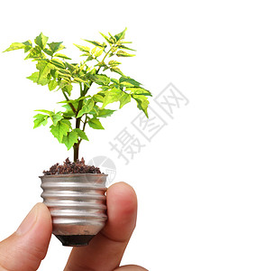 用青绿色植物绿色能源概念图片