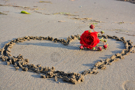 红玫瑰和海边的心图片