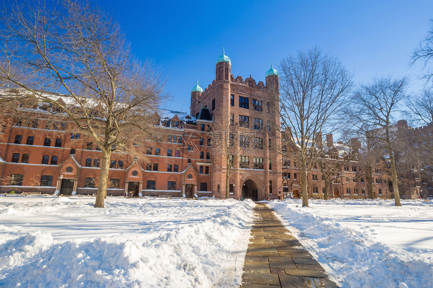 在美国首都新黑文的耶鲁大学楼下雪后冬季的图片