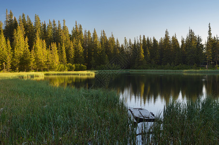 森林风貌与湖泊在山上阳图片
