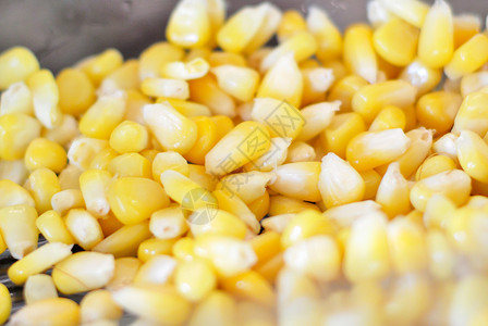 玉米种子在图片