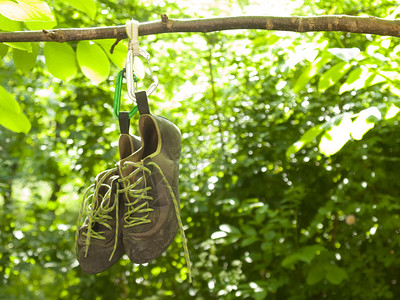 挂在树枝上的登山鞋图片