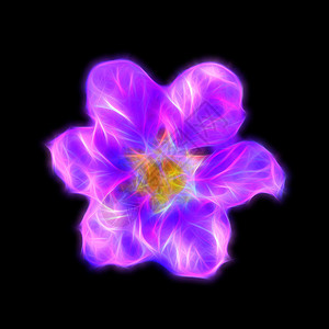 皇后紫薇花的发光图像图片
