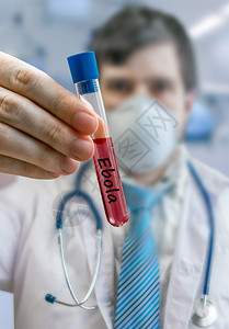 医生正在实验室中持有测试管和研制伊波拉病图片