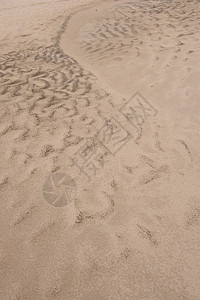 沙滩的背景图片