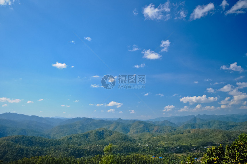 在明亮的夏日中闪耀着巨大的绿图片