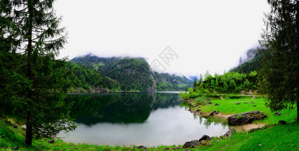 湖泊和树木全景视图图片