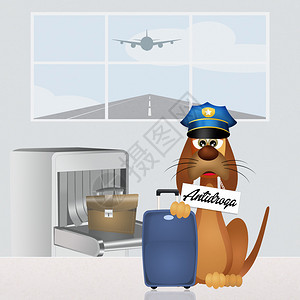 机场毒犬插画图片