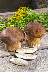 鲜香黛儿和博莱特斯埃迪卢斯蘑菇图片