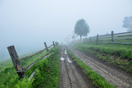 穿越山中浓雾的地面道路图片