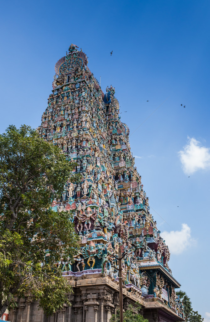 印度米纳克希安曼寺五颜六色的塔图片