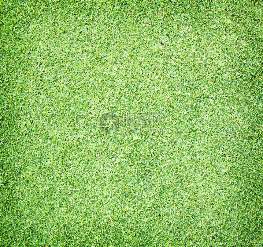 高尔夫球场绿草原图片
