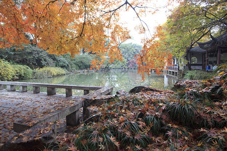 秋天公园图片